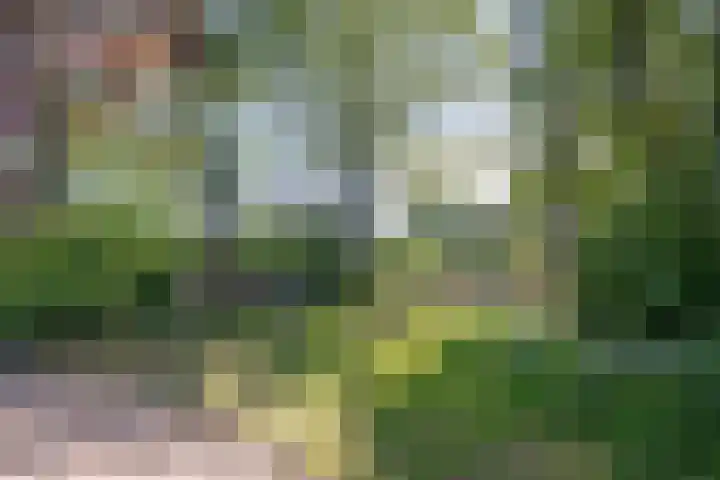 Adelbertweg 39 Venray thumbnail 44
