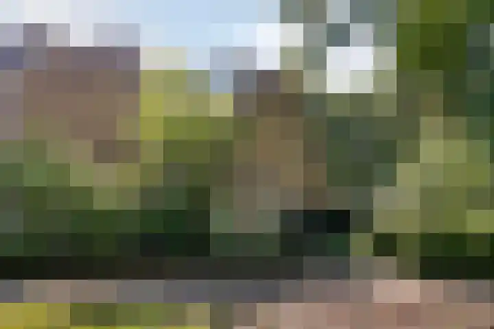 Adelbertweg 39 Venray thumbnail 49