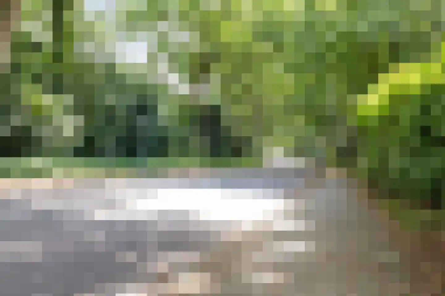 Adelbertweg 44 Venray thumbnail 31
