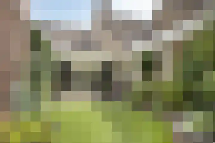 Adelbertweg 8 Venray thumbnail 30