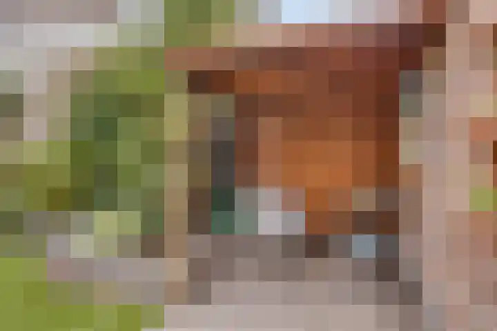 Adelbertweg 8 Venray thumbnail 31