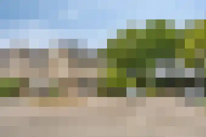 Adelbertweg 8 Venray thumbnail 35