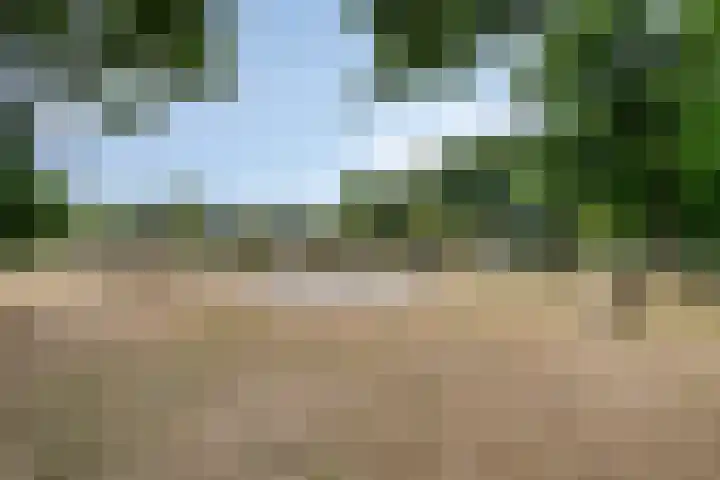 Adelbertweg 8 Venray thumbnail 36