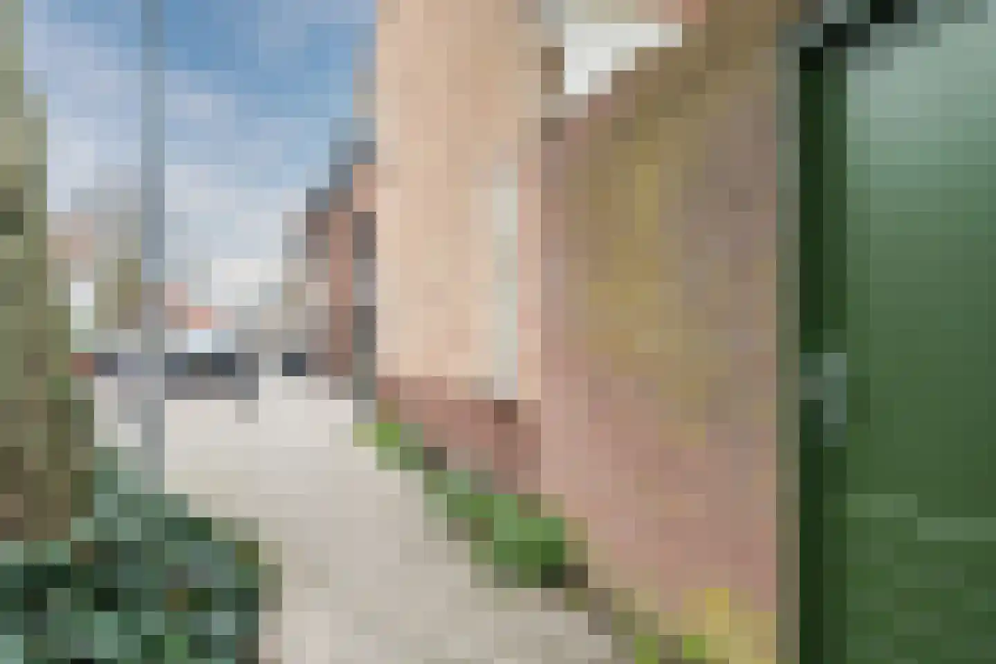 Adelboldstraat 1 Utrecht thumbnail 42