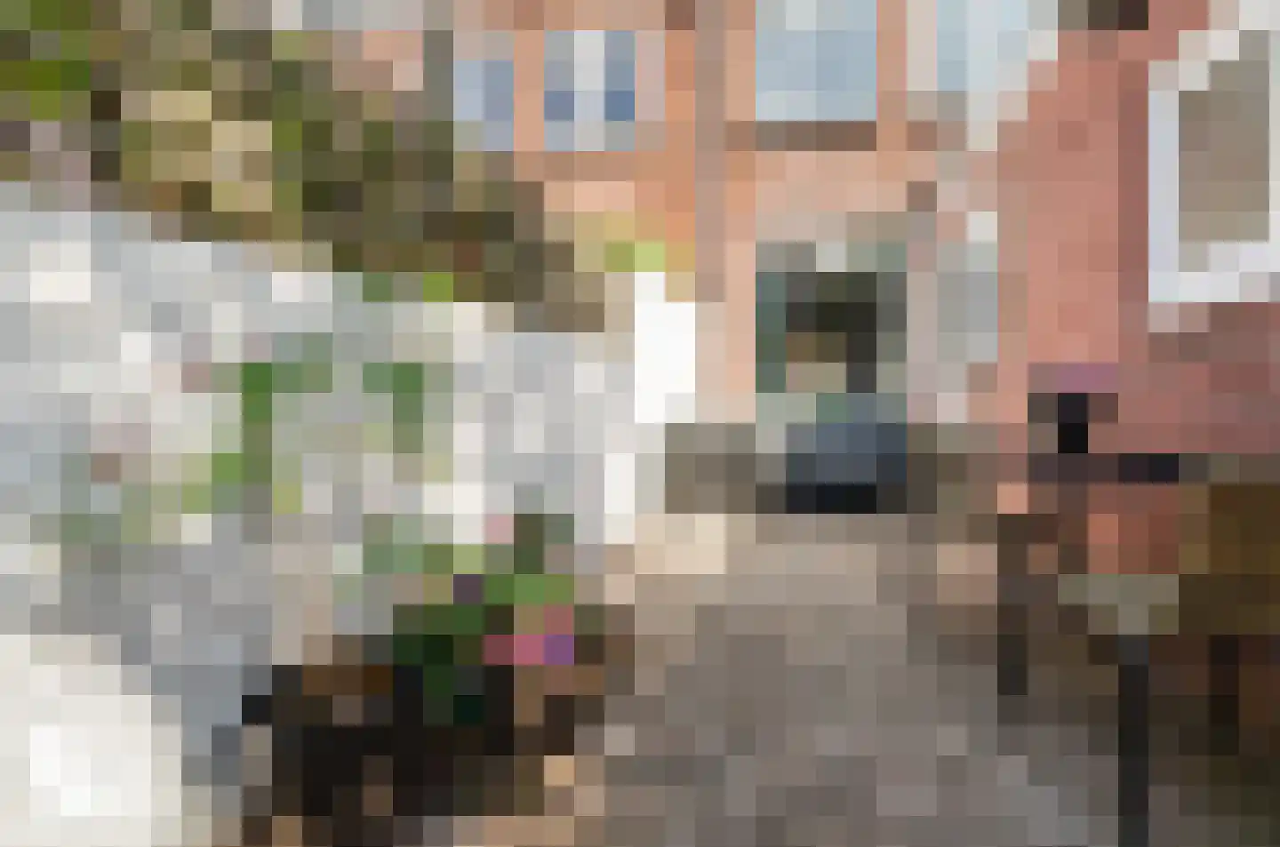 Adelboldstraat 16 Utrecht thumbnail 22