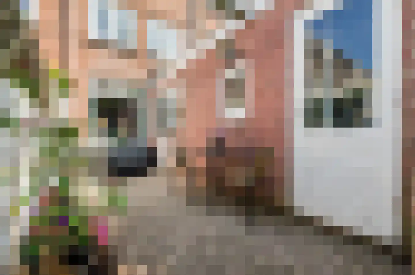 Adelboldstraat 16 Utrecht thumbnail 23