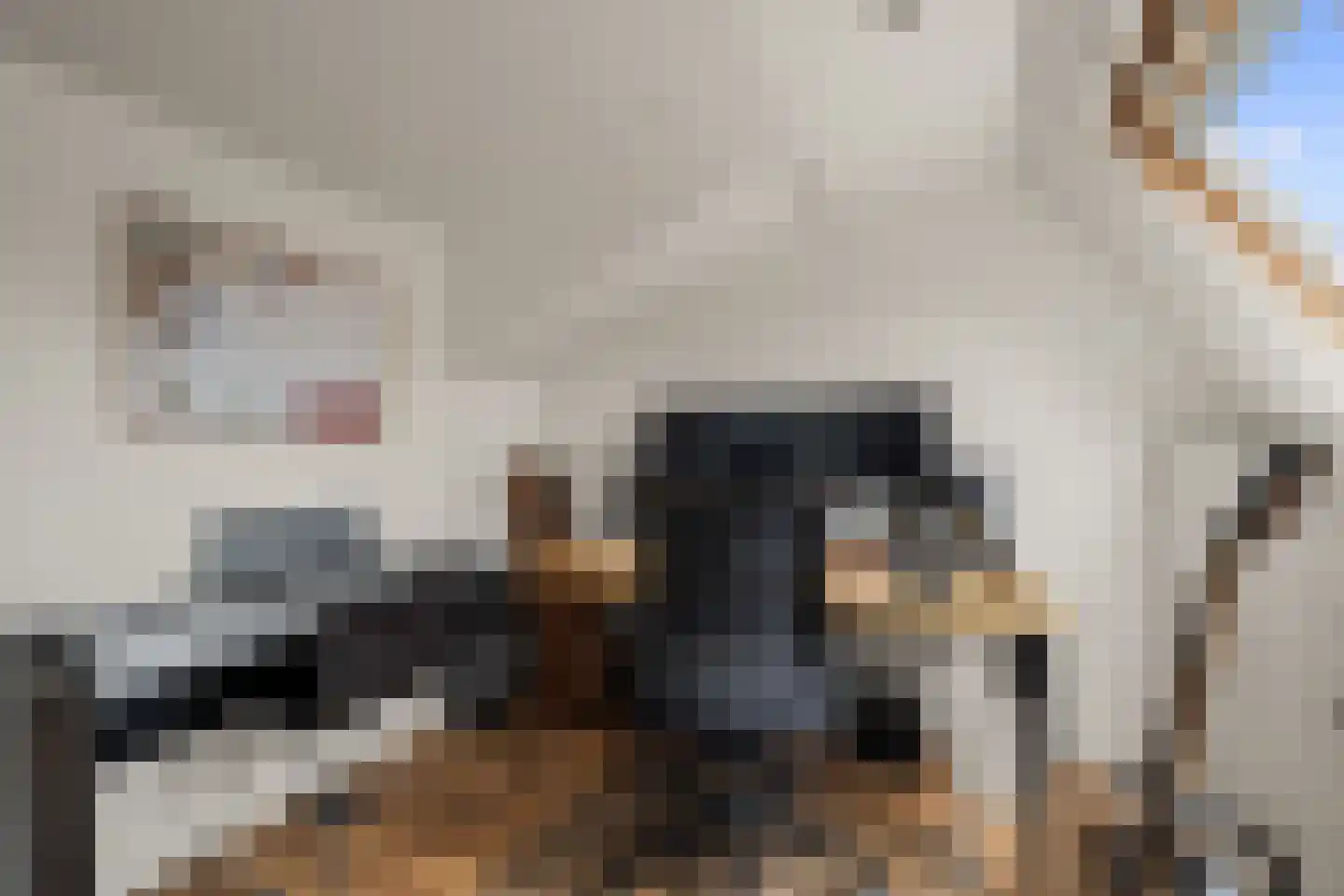 Adelboldstraat 20 Utrecht thumbnail 36