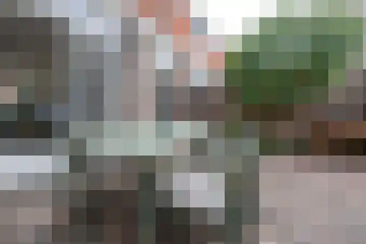 Adelboldstraat 29 Utrecht thumbnail 23