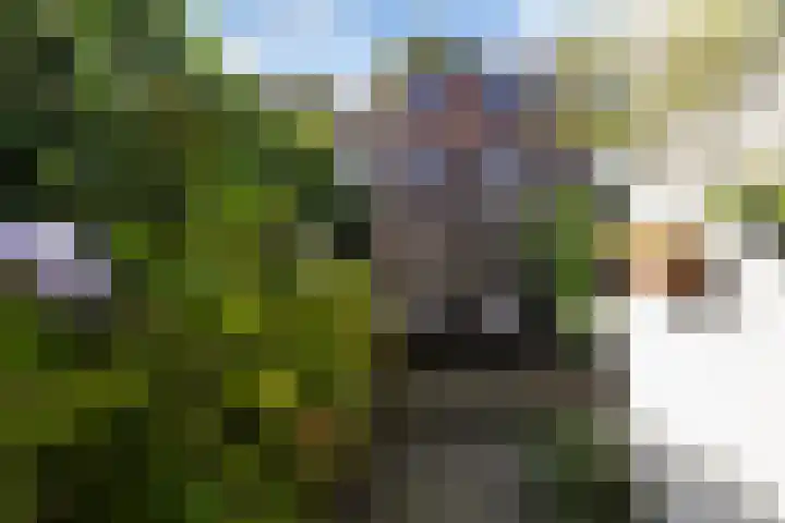 Adelboldstraat 52 Utrecht thumbnail 25