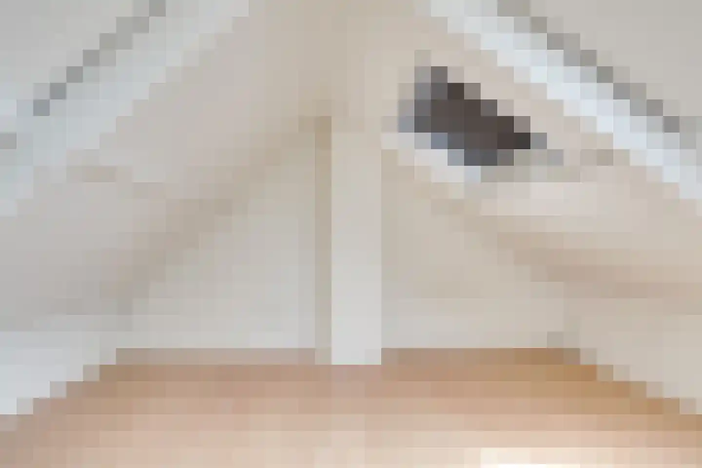 Adelboldstraat 7 Utrecht thumbnail 23