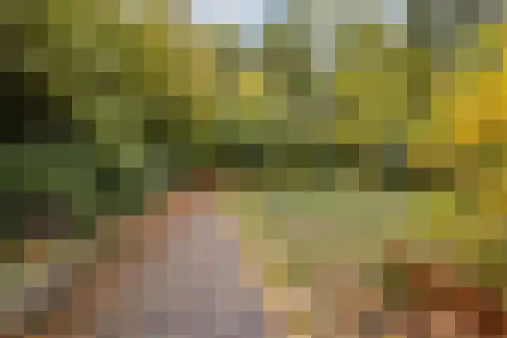 Adelborst van Leeuwenlaan 16 Sassenheim thumbnail 24