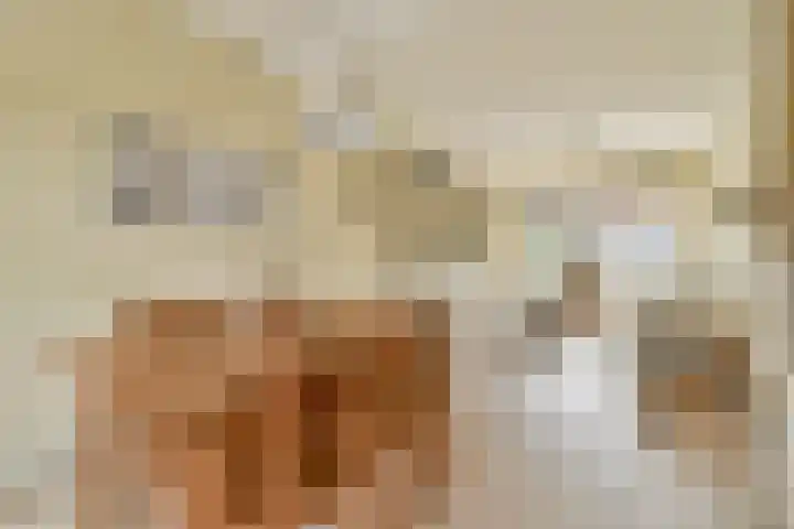 Adelborst van Leeuwenlaan 16 Sassenheim thumbnail 5