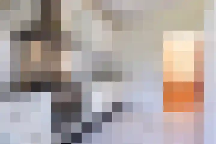 Adelbrechtgaarde 1 Apeldoorn thumbnail 18