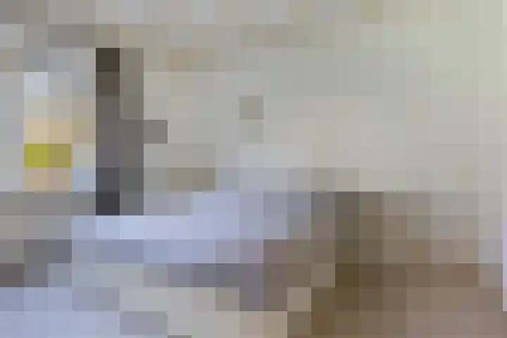 Adelbrechtgaarde 1 Apeldoorn thumbnail 19