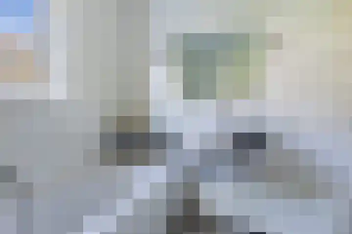 Adelbrechtgaarde 1 Apeldoorn thumbnail 23