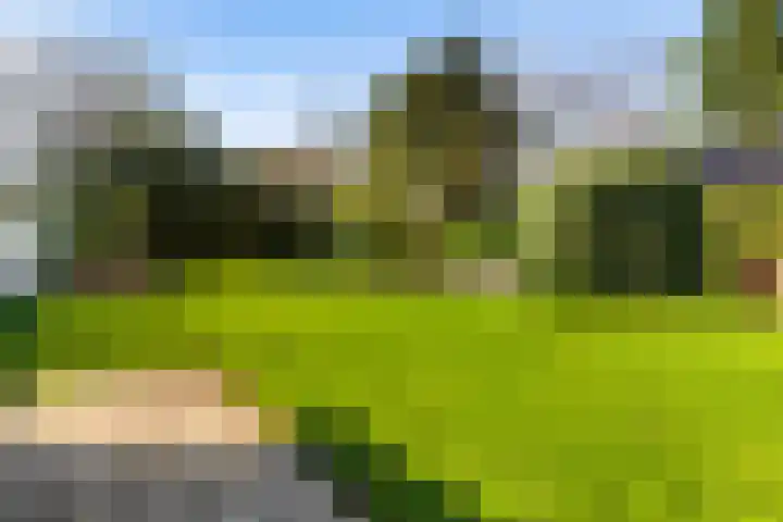 Adelbrechtgaarde 1 Apeldoorn thumbnail 27