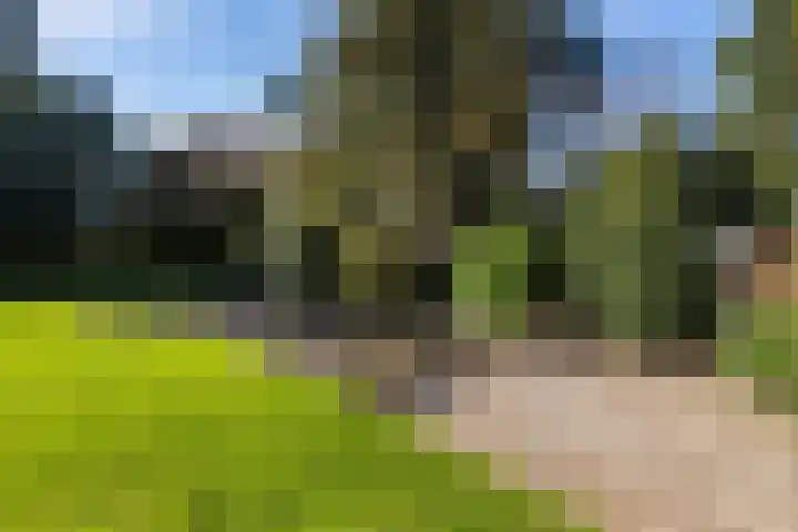 Adelbrechtgaarde 1 Apeldoorn thumbnail 30