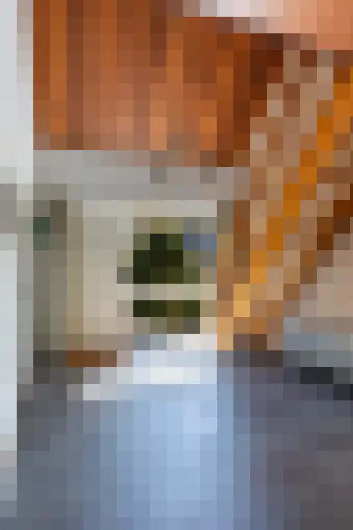 Adelbrechtgaarde 1 Apeldoorn thumbnail 34