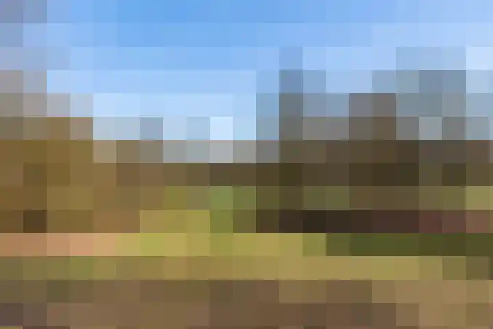 Adelbrechtgaarde 1 Apeldoorn thumbnail 49