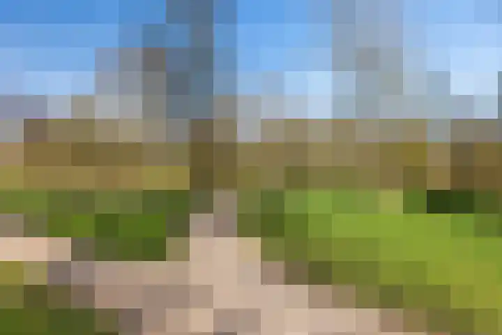 Adelbrechtgaarde 1 Apeldoorn thumbnail 50