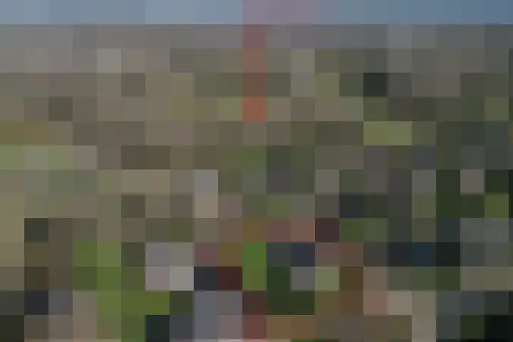 Adelbrechtgaarde 1 Apeldoorn thumbnail 51