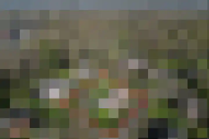 Adelbrechtgaarde 1 Apeldoorn thumbnail 53