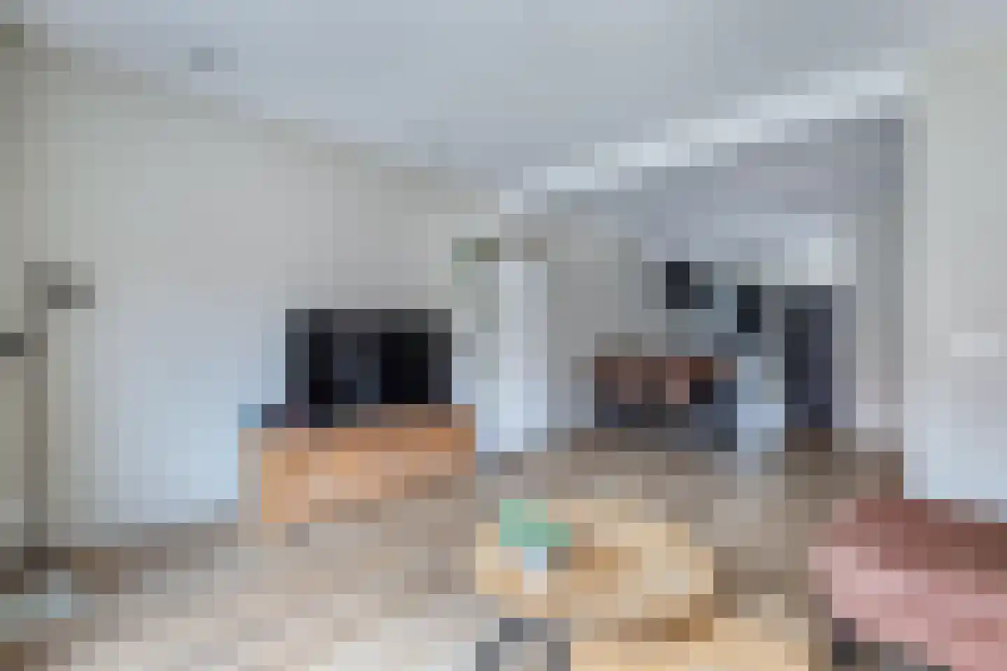 Adelenstrjitte 24 Sexbierum thumbnail 13