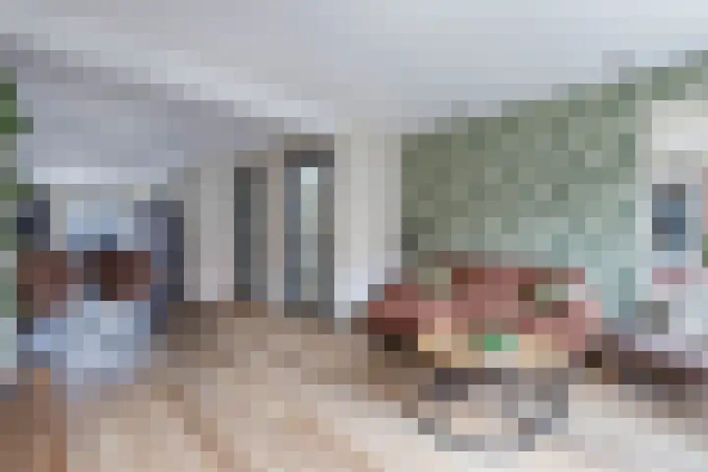 Adelenstrjitte 24 Sexbierum thumbnail 14