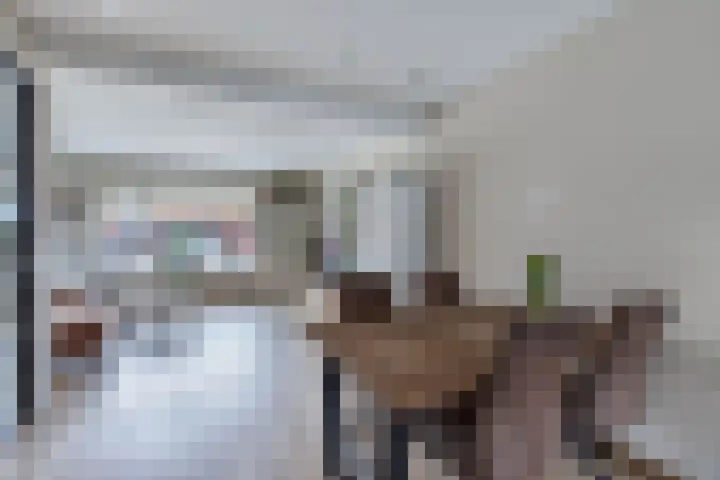 Adelenstrjitte 24 Sexbierum thumbnail 17