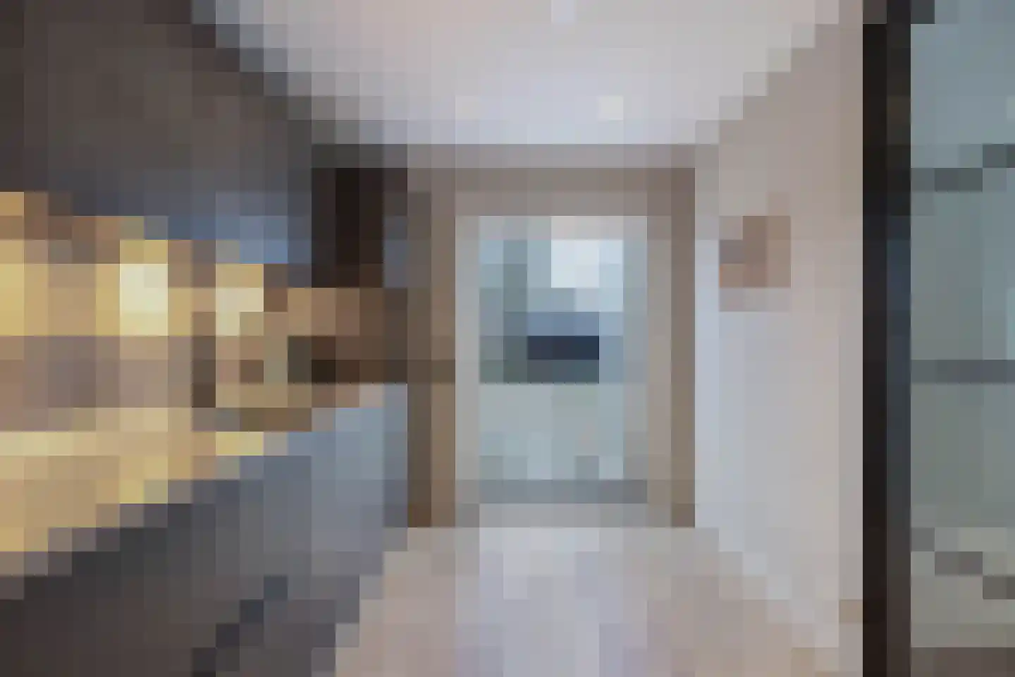 Adelenstrjitte 24 Sexbierum thumbnail 19