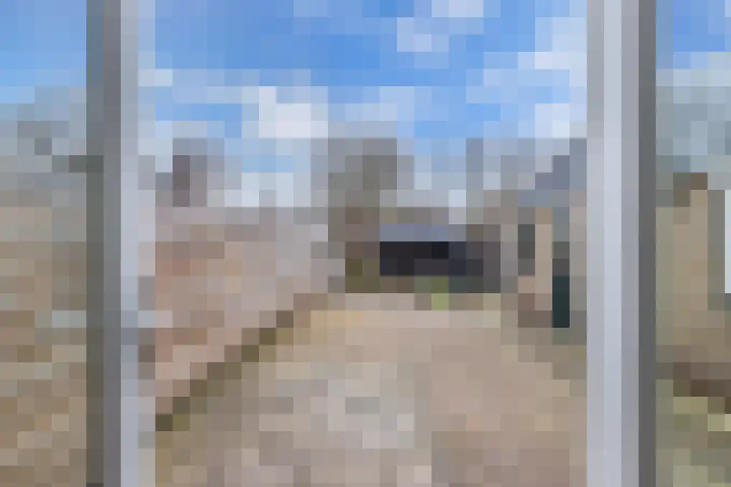 Adelenstrjitte 24 Sexbierum thumbnail 20