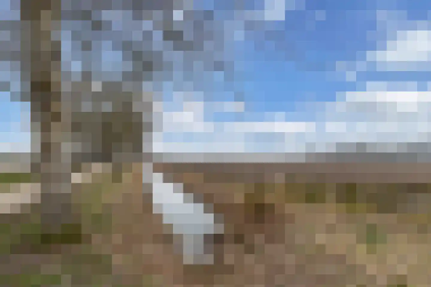 Adelenstrjitte 24 Sexbierum thumbnail 31