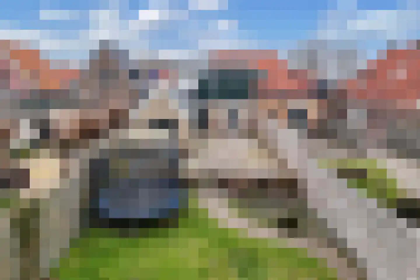 Adelenstrjitte 24 Sexbierum thumbnail 34
