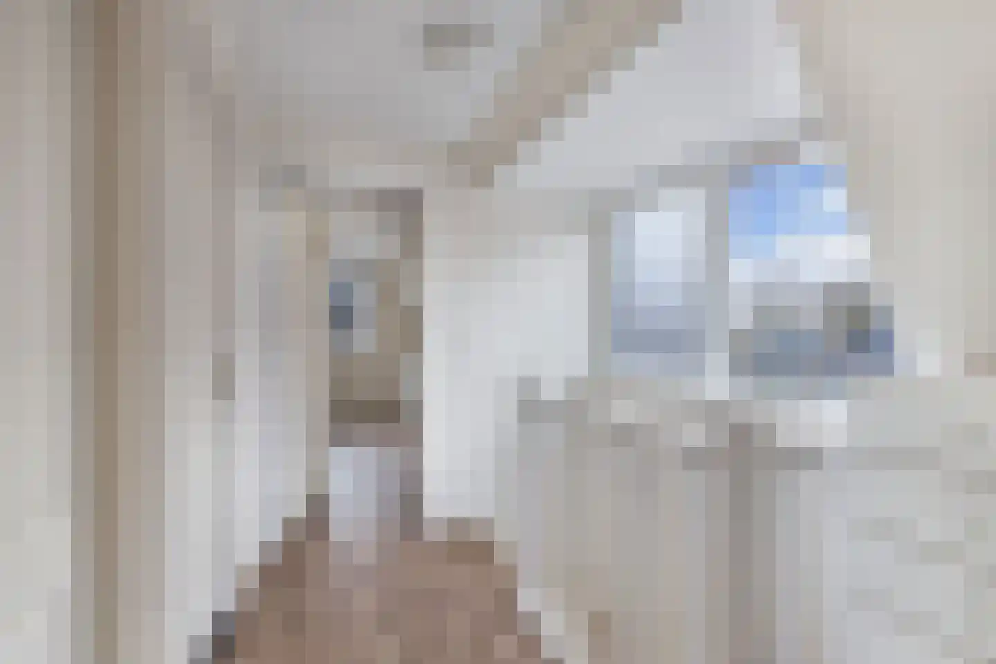 Adelenstrjitte 24 Sexbierum thumbnail 35