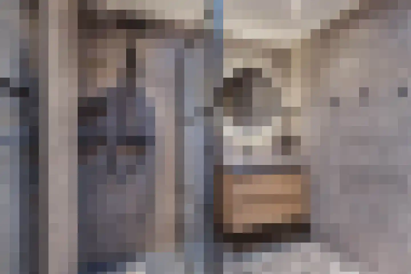 Adelenstrjitte 24 Sexbierum thumbnail 40