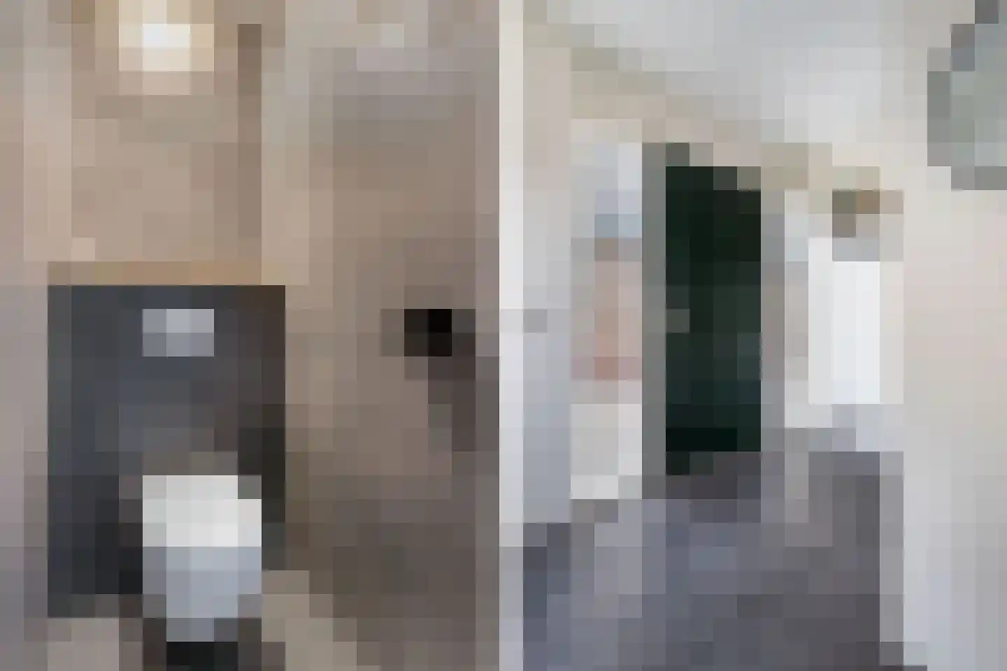 Adelenstrjitte 24 Sexbierum thumbnail 9