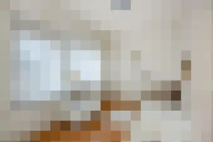 Adelheid van Voornstraat 29 Asten thumbnail 21