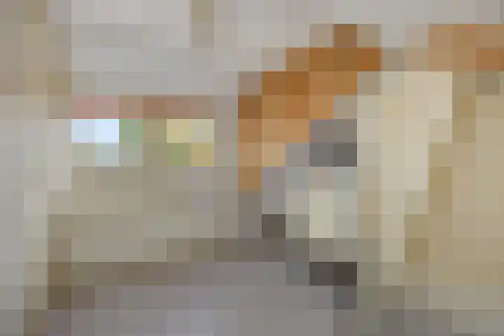 Adelheid van Voornstraat 29 Asten thumbnail 27