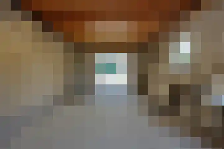 Adelheid van Voornstraat 29 Asten thumbnail 34