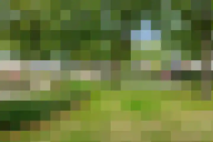 Adelheid van Voornstraat 29 Asten thumbnail 39