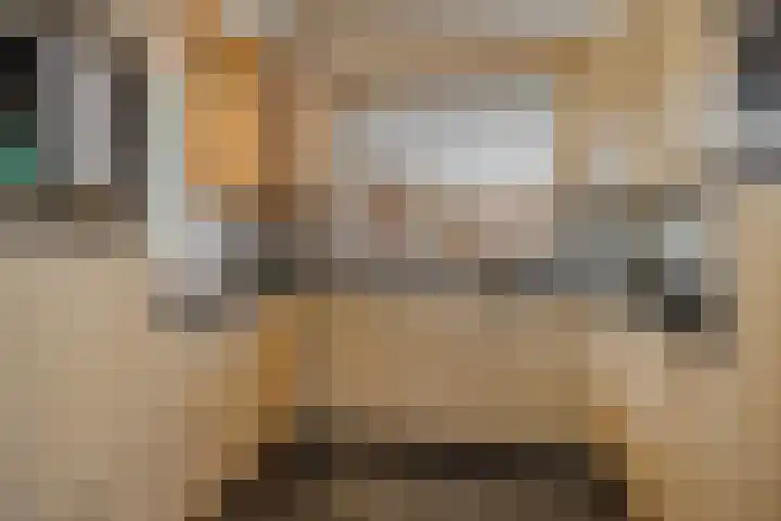 Adelheid van Voornstraat 29 Asten thumbnail 8