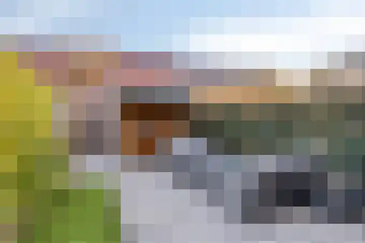 Adelheidstraat 14 's-Hertogenbosch thumbnail 12