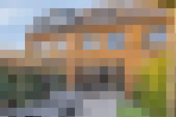 Adelheidstraat 14 's-Hertogenbosch thumbnail 13