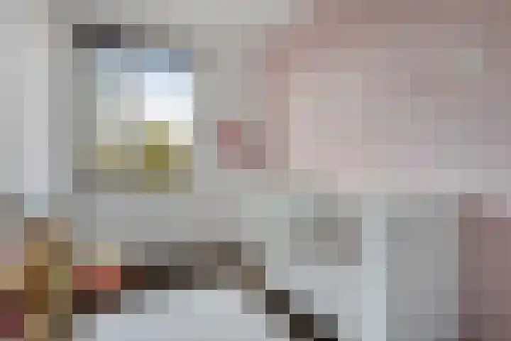 Adelheidstraat 14 's-Hertogenbosch thumbnail 19