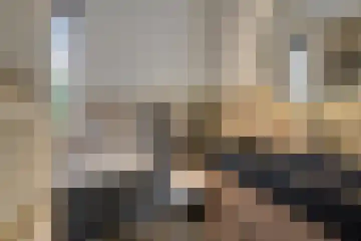 Adelheidstraat 14 's-Hertogenbosch thumbnail 21