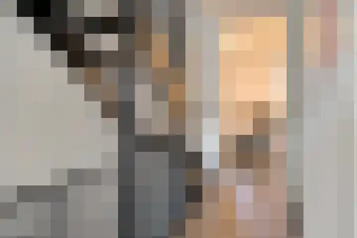 Adelheidstraat 14 's-Hertogenbosch thumbnail 23