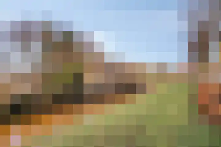 Adelheidstraat 14 's-Hertogenbosch thumbnail 30