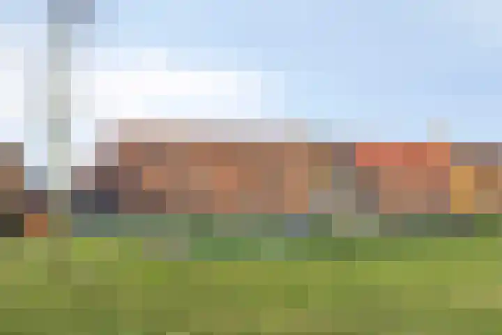 Adelheidstraat 14 's-Hertogenbosch thumbnail 31