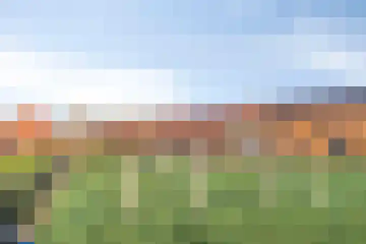 Adelheidstraat 14 's-Hertogenbosch thumbnail 32