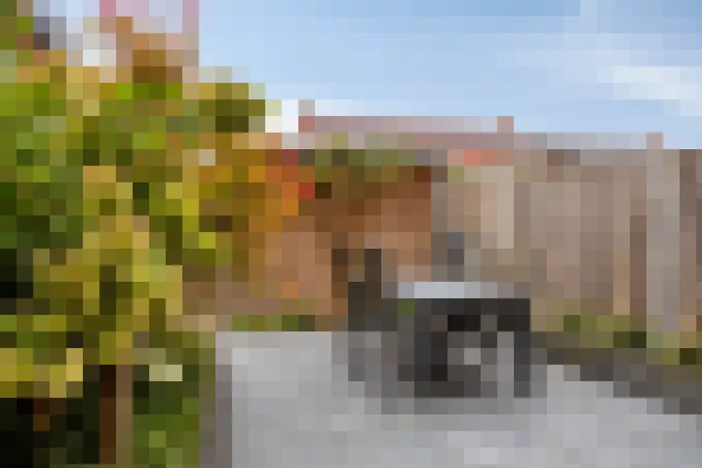 Adelheidstraat 18 's-Hertogenbosch thumbnail 12